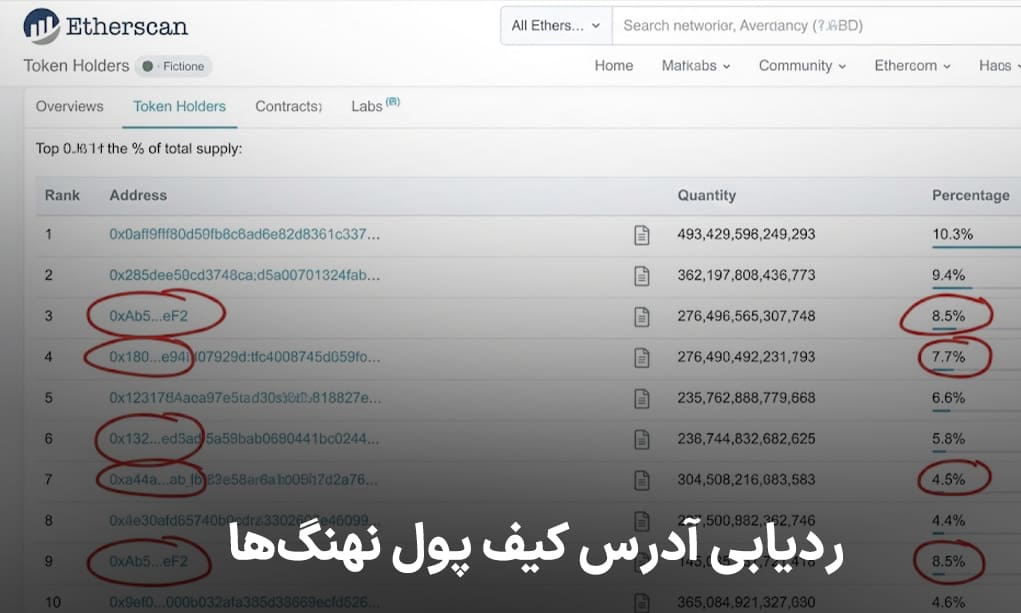 ردیابی آدرس کیف پول نهنگها با قابلیت Watch-Only