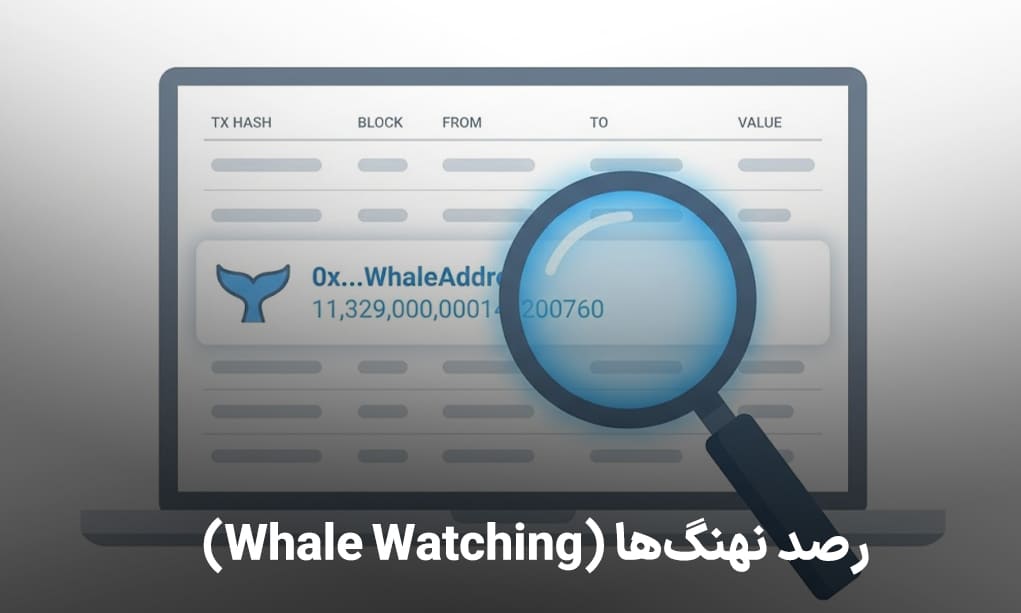 رصد نهنگها (Whale Watching)